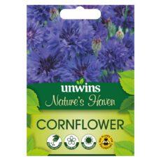 5051618031783 1 Wildflower Cornflower Seeds.jpg